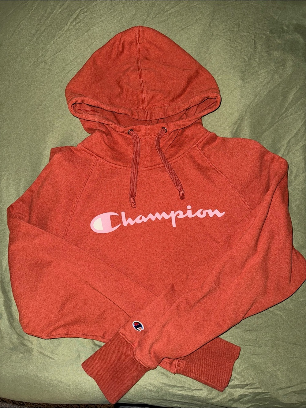 Champion Women’s Logo Hoodie Sweater in Rust